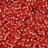 TOHO 6/0 Round Beads SEED-XTR06-2201-4