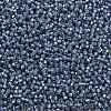 TOHO Round Seed Beads SEED-JPTR11-2102-2