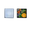 DIY Silicone Mold LS-SIMO-Z003-01D-1