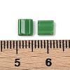 520Pcs 2 Style 2-Hole Glass Seed Beads SEED-NB0001-72B-4