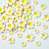 3 Styles Plastic Cabochons FIND-SC0019-49-7