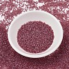 MIYUKI Delica Beads SEED-JP0008-DB1746-2