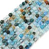 Natural Agate Beads Strands X-G-H302-A01-13-2
