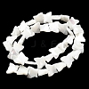 Natural Trochid Shell/Trochus Shell Beads Strands SSHEL-R145-02-2