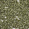 11/0 Grade A Baking Paint Glass Seed Beads X-SEED-S030-1037-2