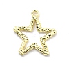 Alloy Pendants FIND-M078-01B-G-1