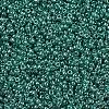 MIYUKI Round Rocailles Beads SEED-X0054-RR0322-3