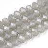 Glass Beads Strands EGLA-A034-J4mm-D10-1