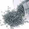 TOHO Round Seed Beads X-SEED-TR15-0113-1