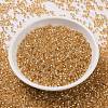 Cylinder Seed Beads SEED-H001-G04-3