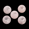 Natural & Synthetic Mixed Stone European Beads G-R488-01-3