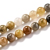 Natural Golden Silk Jade Beads Strands G-O199-04B-1