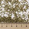 MIYUKI Round Rocailles Beads X-SEED-G009-RR4512-4