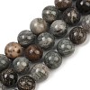 Natural Gemstone Beads Strands G-F792-C11-06-2