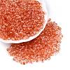 Baking Paint Electroplate Transparent Glass Seed Beads SEED-N006-07B-1