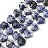 Natural Blue Spot Jasper Beads Strands G-P570-E19-01-2