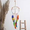 Tree of Life Woven Web/Net with Feather Wall Hanging Decorations PW-WG74302-01-2