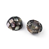 Synthetic Abalone Shell/Paua Shell Beads LS-SSHEL-K001-001C-2