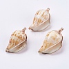 Electroplate Spiral Shell Pendants BSHE-L036-43-2