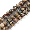 Natural Aqua Terra Jasper Beads Strands G-K317-A02-01-1