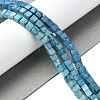 Natural Howlite Beads Strands G-C135-E03-01-2
