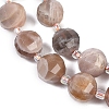 Natural Multi-Moonstone Beads Strands G-G182-B04-05-4