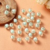 Transparent Acrylic Beads TACR-S135-002B-1