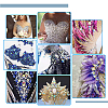120Pcs 6 Style Sew on Rhinestone RESI-PH0002-04D-5