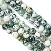 Natural Tree Agate Beads Strands G-K194-8mm-02-2