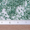 MIYUKI Delica Beads SEED-J020-DB0060-3