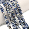 Natural Blue Spot Jasper Beads Strands G-L654-I06-01-1