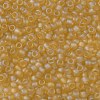 TOHO 8/0 Round Beads SEED-TR08-0162F-2