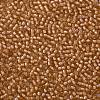 TOHO Round Seed Beads X-SEED-TR11-0923-2