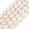 Natural Cultured Freshwater Pearl Beads Strands PEAR-P064-20K-05A-2
