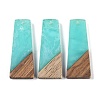 Resin & Wood Pendants WOOD-F015-04E-1