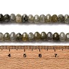 Natural Labradorite Beads Strands G-P587-D13-01-5