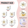 50Pcs 5 Styles Acrylic Cabochons MACR-TA0002-90-4