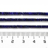 Natural Lapis Lazuli Beads Strands G-Z074-C01-5