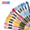 6-Ply Polyester Embroidery Floss OCOR-FZ0001-01D-2