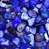 Natural Shell Beads BSHE-WH0003-01B-1