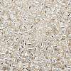 TOHO 8/0 Round Beads X-SEED-TR08-0021-2