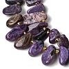 Natural Charoite Beads Strands G-P604-A29-01-4
