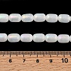 Natural Selenite Beads Strands G-F750-B-21-4