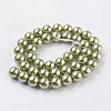 Eco-Friendly Dyed Glass Pearl Round Beads Strands HY-A002-10mm-RB115-2