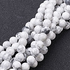 Natural Howlite Bead Strands G-G735-66-4mm-1