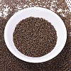 MIYUKI Delica Beads SEED-X0054-DB0287-2