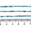 Transparent Glass Beads Strands GLAA-H027-01E-5