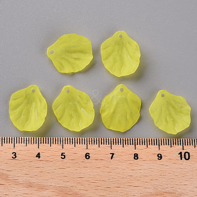 Transparent Frosted Acrylic Pendants MACR-S371-01A-717-1