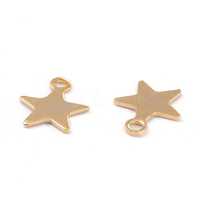 201 Stainless Steel Charms X-STAS-B001-14A-G-1