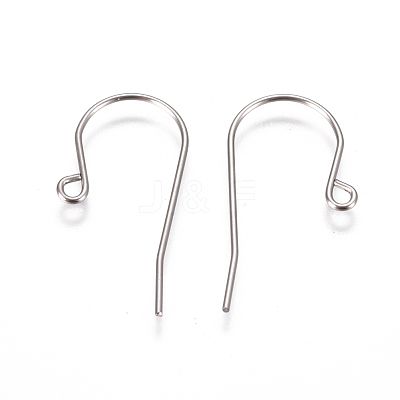 Tarnish Resistant 304 Stainless Steel Earring Hooks STAS-F227-29-P-1